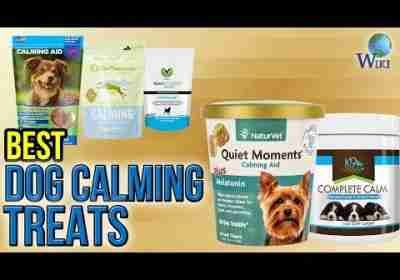 10 Best Dog Calming Treats 2017