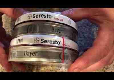 Bayer Seresto Flea & Tick Collar for Dogs Fake vs Real