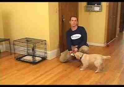 Jeff Millman Dog Training – Puppy Housetraining – Using and sizing a crate