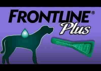 Frontline Plus for Dogs and Cats Kills Flea and Tick by Merial