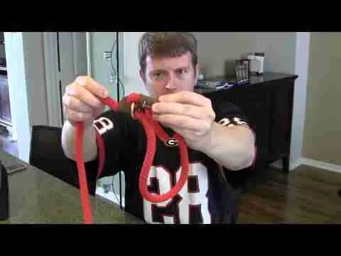 Best Slip Dog Lead Leash Collar by Mendota – Review and Demo