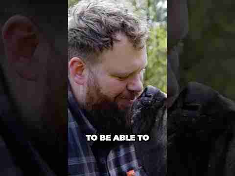 Unlocking Your Dogs Love Language Learn To Speak Dog